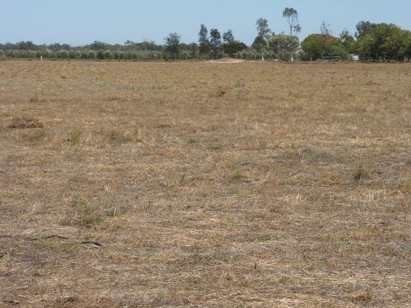 43 Gurners Lane, Goondiwindi QLD 4390