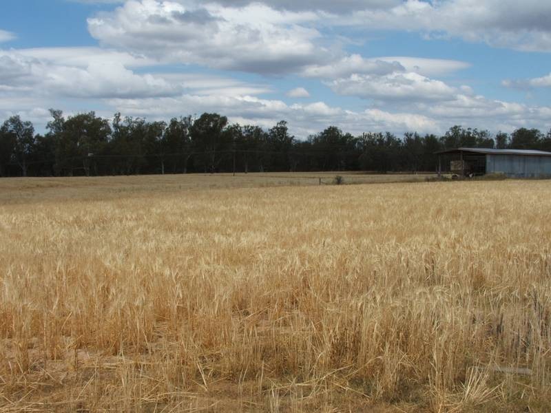 Goondiwindi QLD 4390