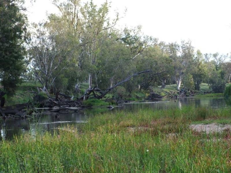 Goondiwindi QLD 4390