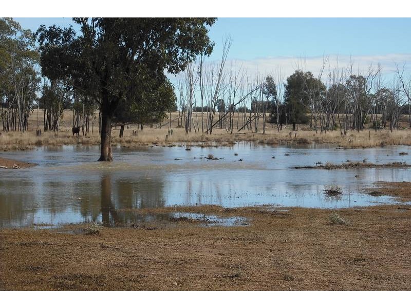 Goondiwindi QLD 4390