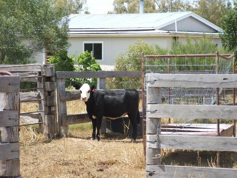 Goondiwindi QLD 4390