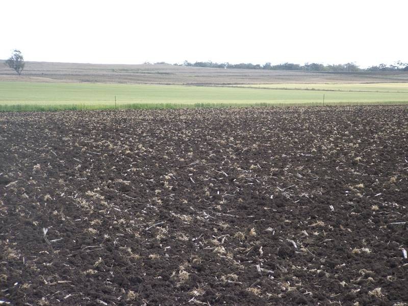 Clintonvale QLD 4370