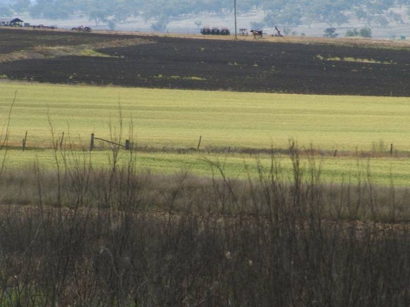 Clintonvale QLD 4370