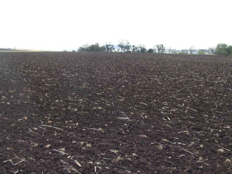 Clintonvale QLD 4370