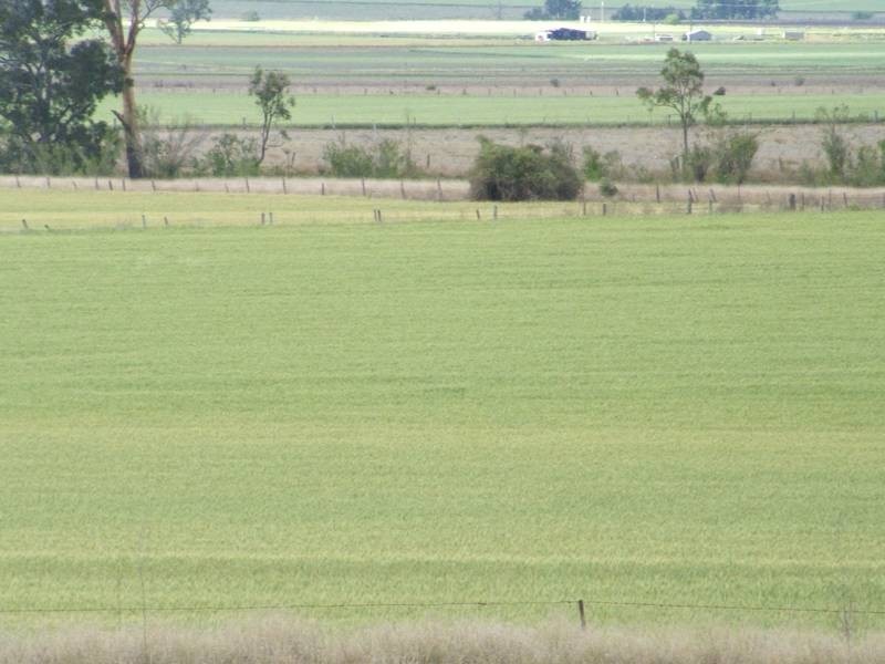 Clintonvale QLD 4370