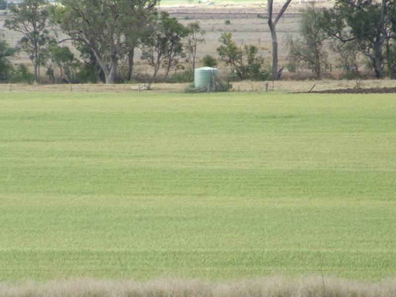 Clintonvale QLD 4370