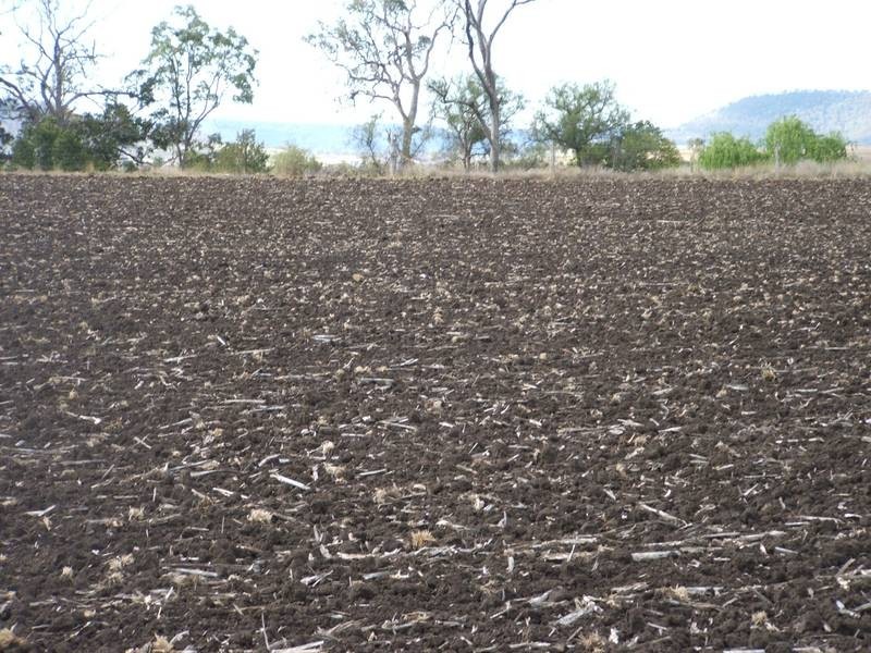 Clintonvale QLD 4370