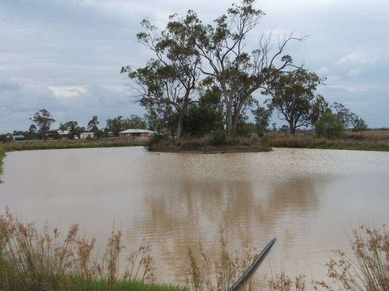 Goondiwindi QLD 4390