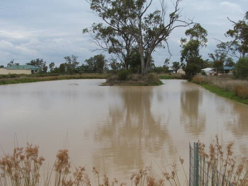 Goondiwindi QLD 4390