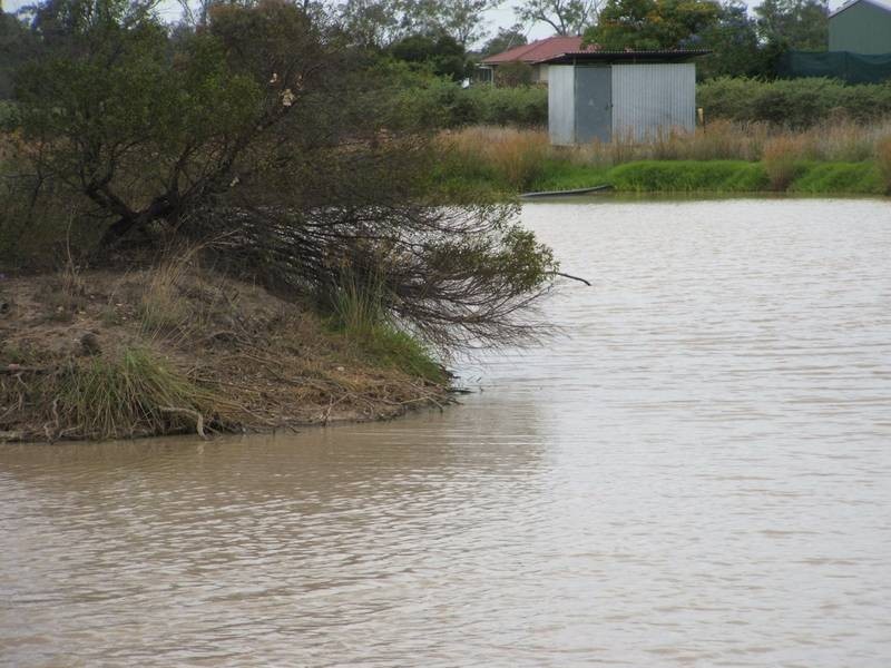 Goondiwindi QLD 4390
