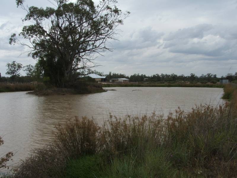Goondiwindi QLD 4390