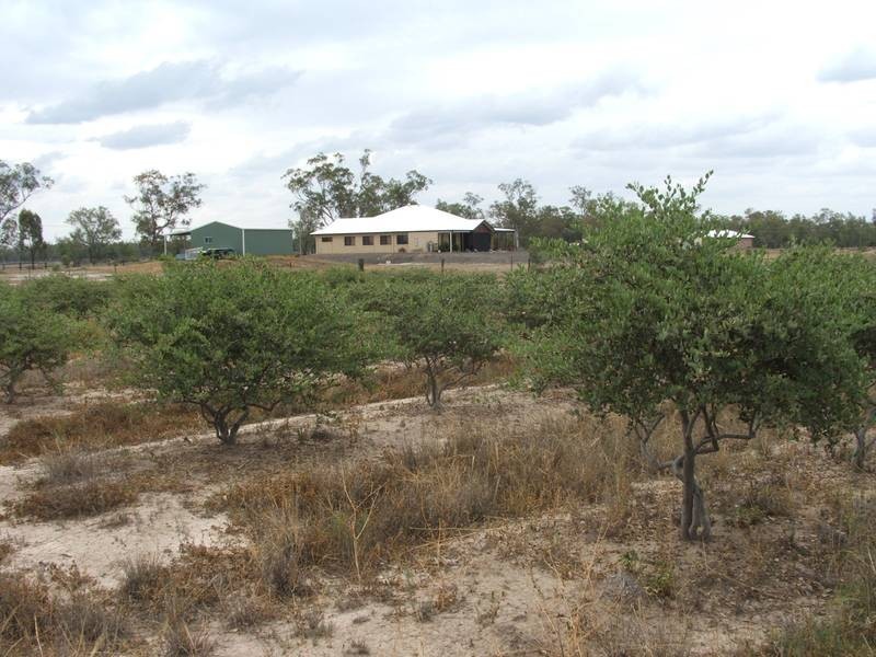 Goondiwindi QLD 4390