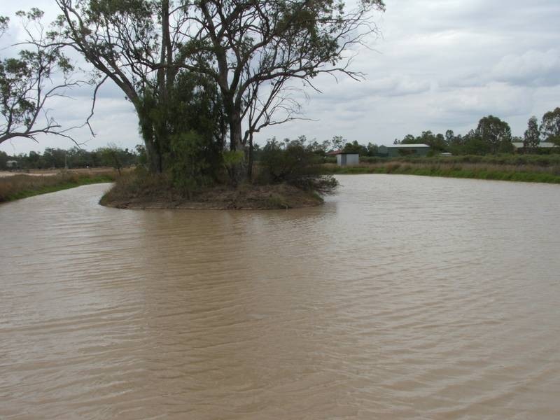 Goondiwindi QLD 4390