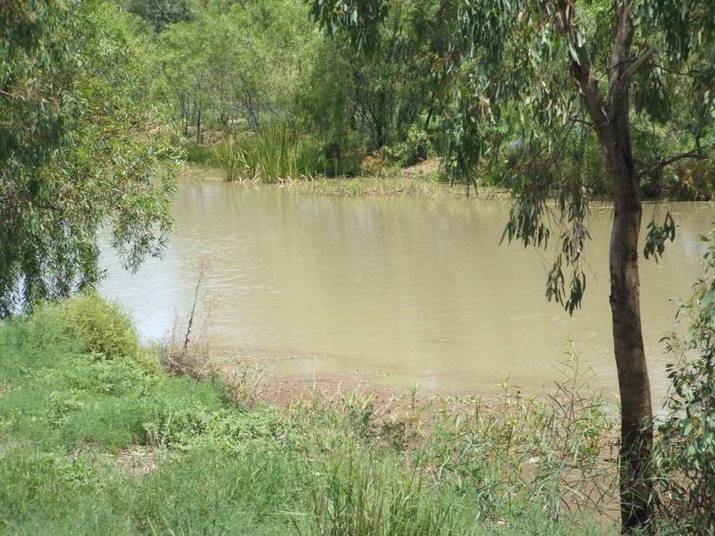 3 Paul Bradley Dr, Goondiwindi QLD 4390