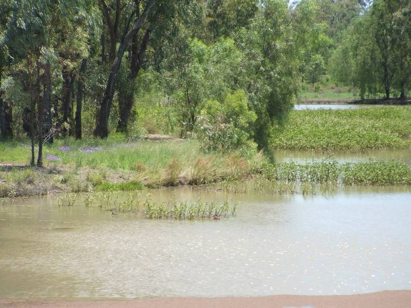 3 Paul Bradley Dr, Goondiwindi QLD 4390