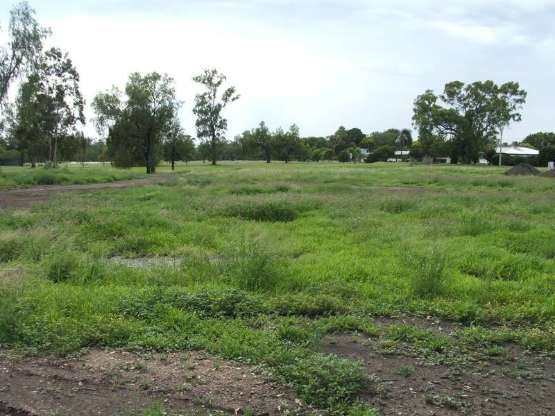 3 Everingham Dr, Goondiwindi QLD 4390