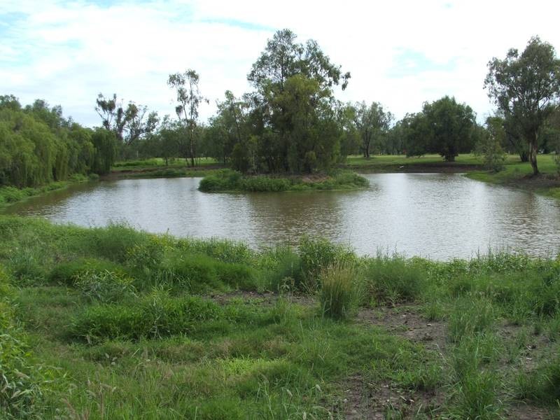 3 Everingham Dr, Goondiwindi QLD 4390