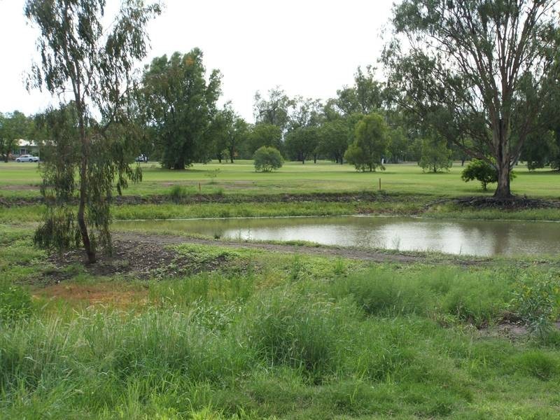 3 Everingham Dr, Goondiwindi QLD 4390
