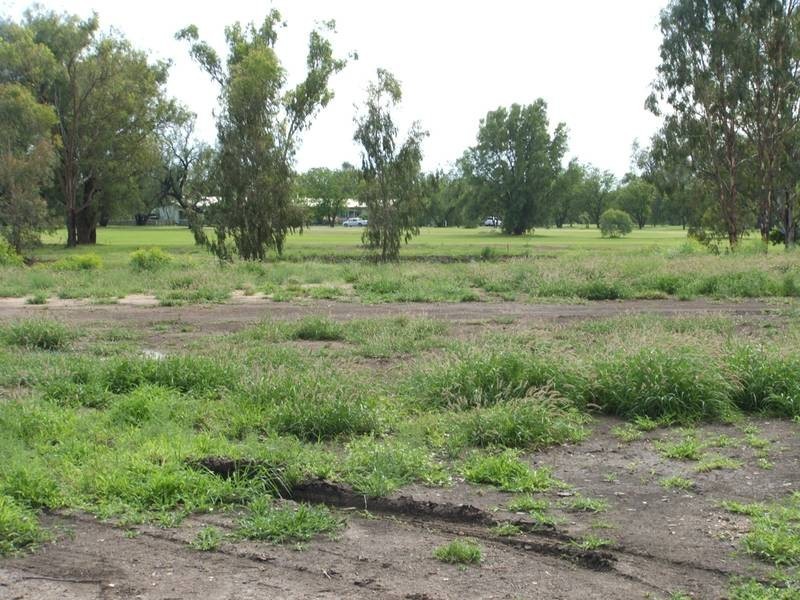 3 Everingham Dr, Goondiwindi QLD 4390
