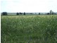 2050 Southwood Rd, Hannaford QLD 4406