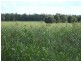 2050 Southwood Rd, Hannaford QLD 4406