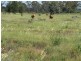 2050 Southwood Rd, Hannaford QLD 4406