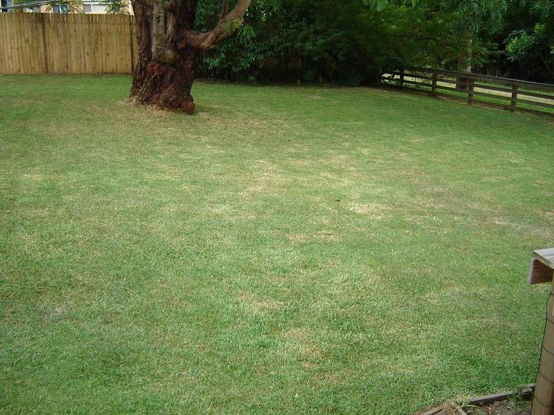 Forestville NSW 2087