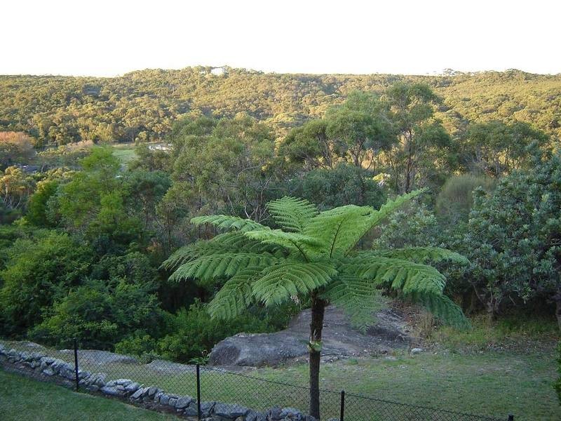 Frenchs Forest NSW 2086