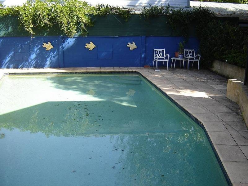 Forestville NSW 2087