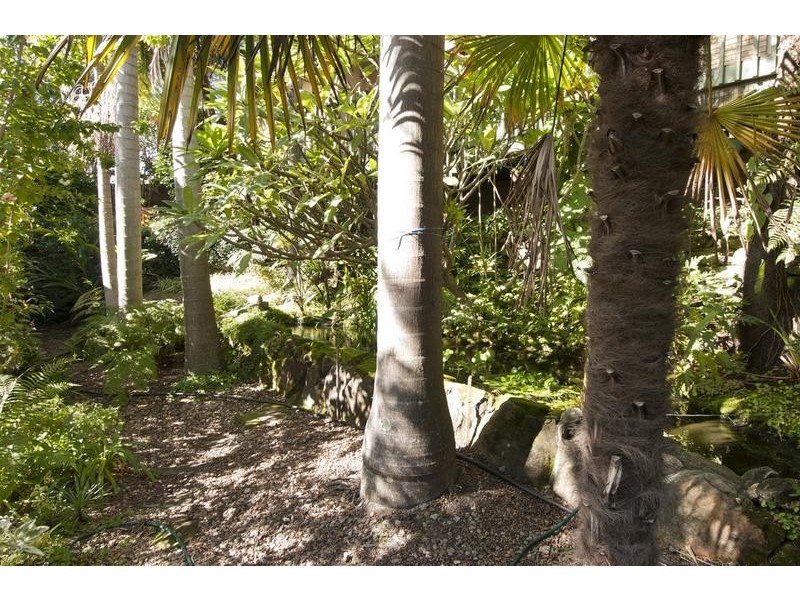 23a Bluegum Crescent, Frenchs Forest NSW 2086