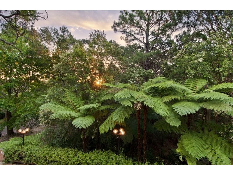 14 Merrilee Crescent, Frenchs Forest NSW 2086