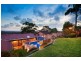 16 Sir Thomas Mitchell Drive, Davidson NSW 2085