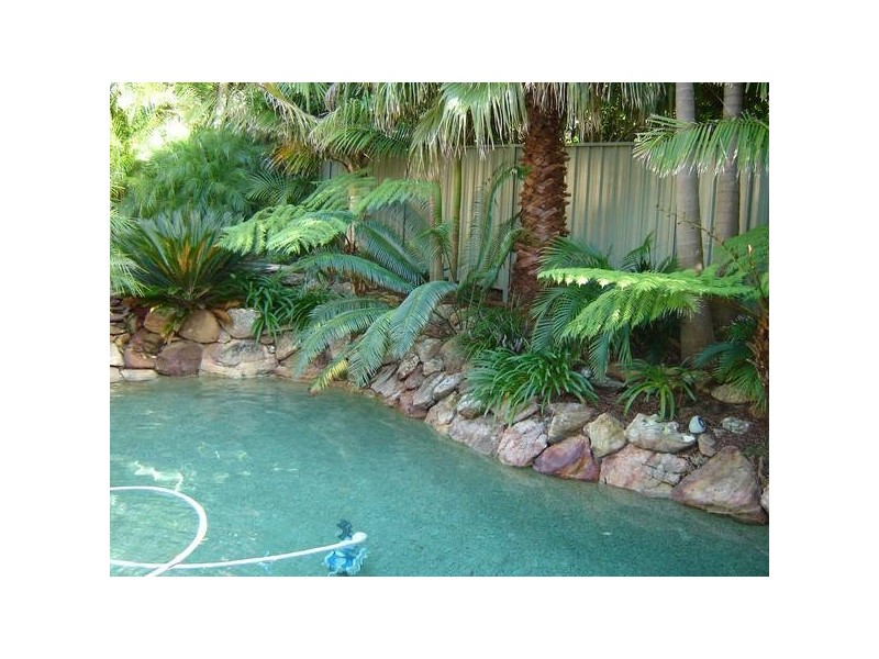 LEASED!!, Beacon Hill NSW 2100