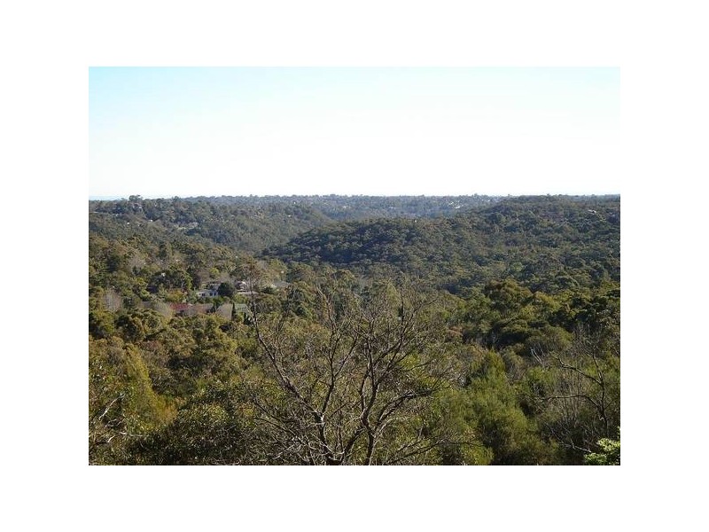 42 GRACE AVENUE, Frenchs Forest NSW 2086