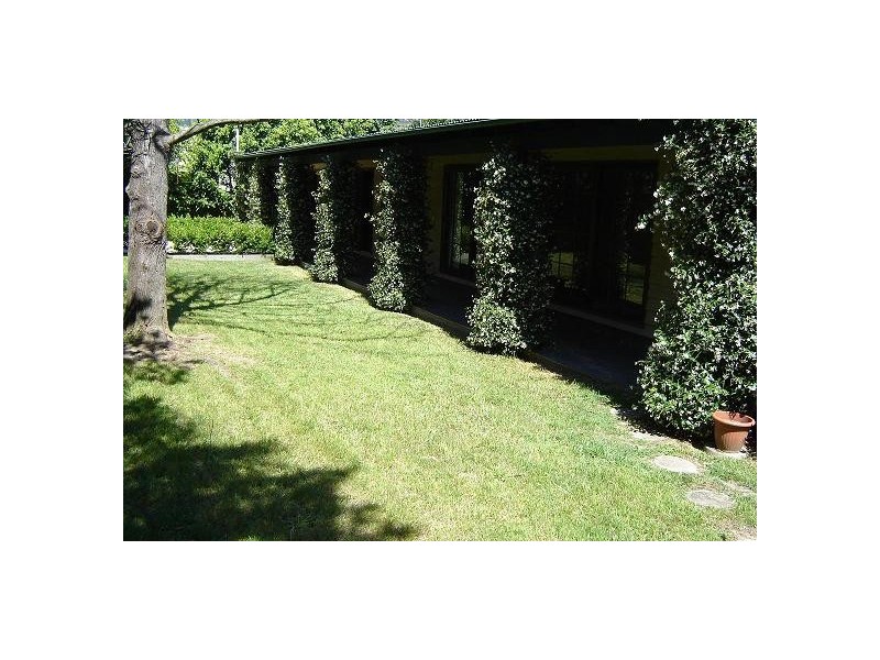 Frenchs Forest NSW 2086