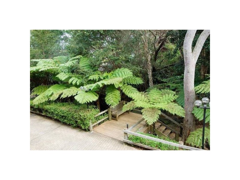 14a Merrilee Crescent, Frenchs Forest NSW 2086