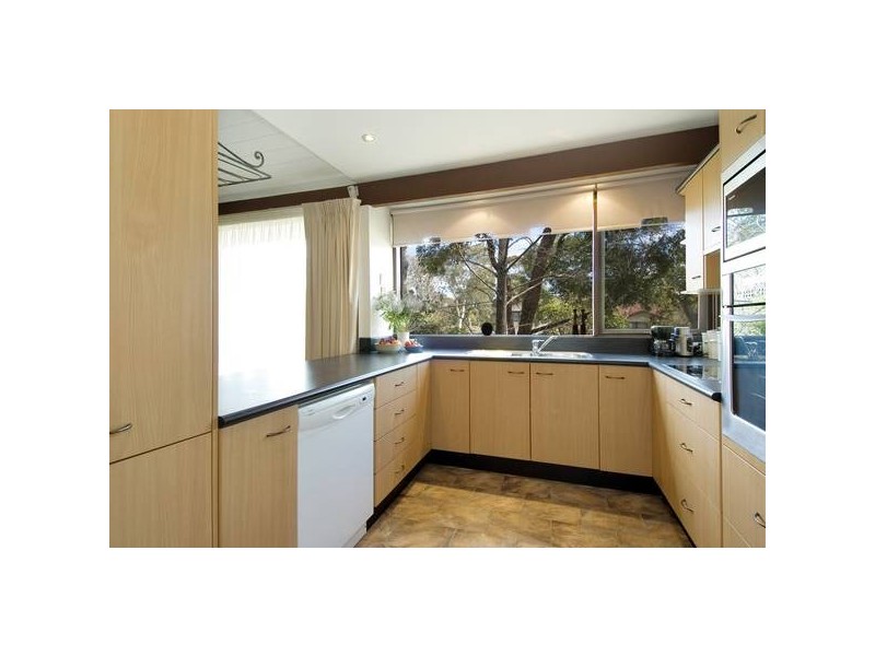 20 Elm Avenue, Belrose NSW 2085