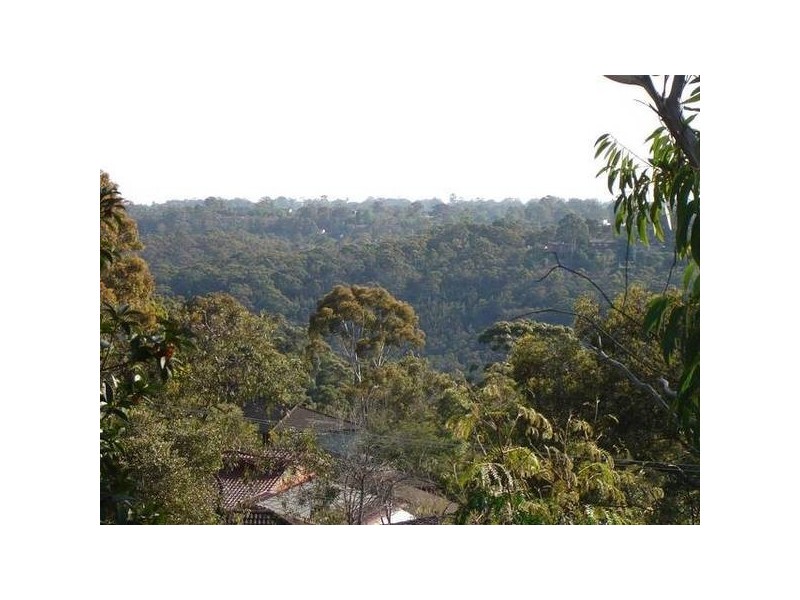 119 PRAHRAN AVENUE, Davidson NSW 2085