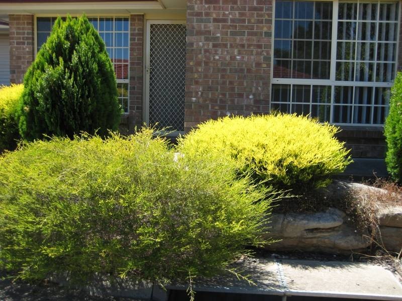 8/29 Mellors Avenue, O’halloran Hill SA 5158