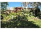 1 Tawny Court, Aberfoyle Park SA 5159