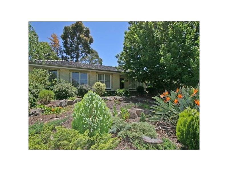 11 Vynland Drive, Flagstaff Hill SA 5159