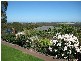 32 Maluka Drive, Happy Valley SA 5159