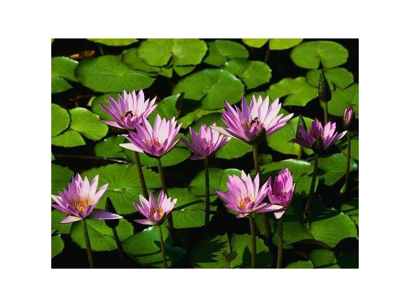 3 Plains Road, Sellicks Hill SA 5174