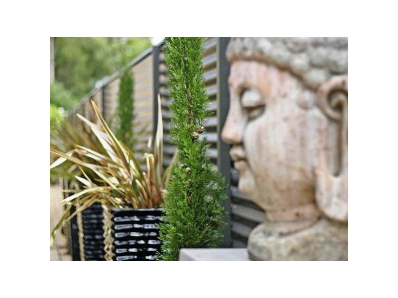 67 Cuthero Terrace, Adj Kensington Gardens, Magill SA 5072