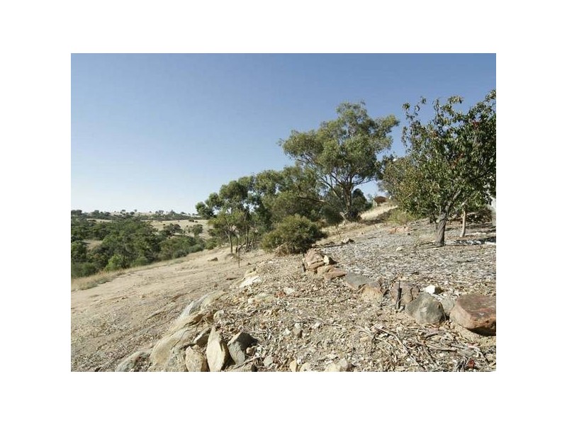 43 Kingfisher Circuit, Flagstaff Hill SA 5159