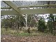 9 Hams Road, Flagstaff Hill SA 5159