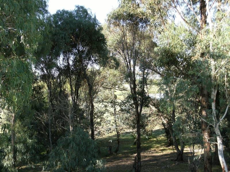 124 Waradgery Drive, Rowville VIC 3178