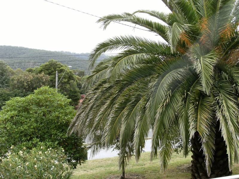 72 Glenfern Road, Ferntree Gully VIC 3156