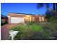 14 Allamanda Boulevard, Lysterfield VIC 3156