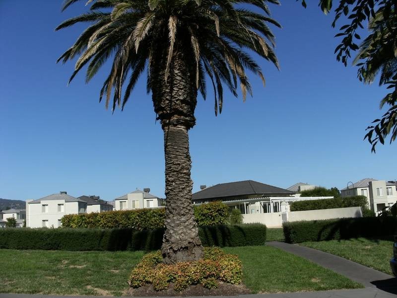 89 Sovereign Manors Crescent, Rowville VIC 3178